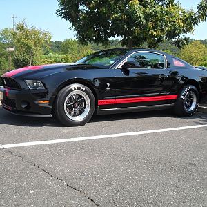 pa. mustang show 227