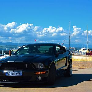 My Shelby GT500