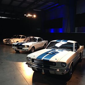 2016 GT350 Unveiling