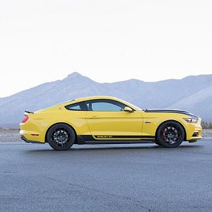 2015 Shelby GT Yellow