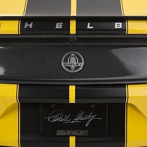 2015 Shelby GT Trunk