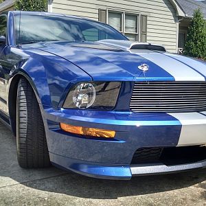 08 Shelby