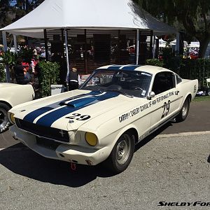 29-img 6902-monterey2015