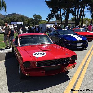 09-img 6887-monterey2015