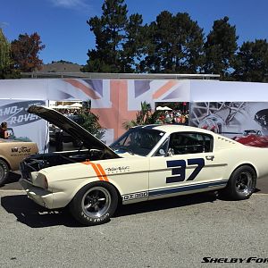 37-img 6914-monterey2015