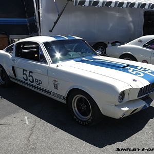 55bp-img 3771-monterey2015