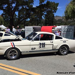 219-img 6924-monterey2015