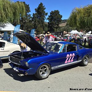 222-img 6897-monterey2015