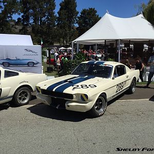 289-img 6917-monterey2015