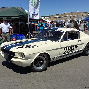 289-img 7054-monterey2015