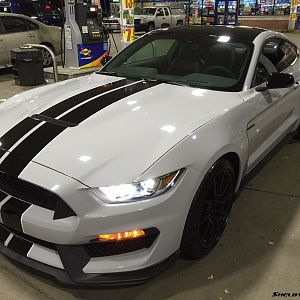 2015 GT350