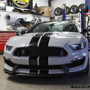 2015 GT 350