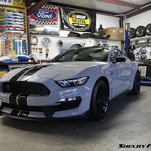 GT 350