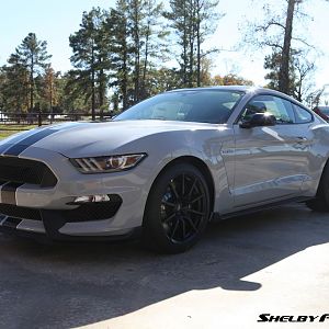 2015 GT 350