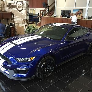 2015 Shelby GT350