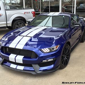 2015 Shelby GT350