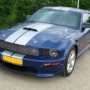 Shelby GT