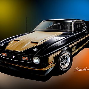 ITEM 6 K 2 1971 MUSTANG MACH 1 (Raven Black)
Check out more at:http://www.dannywhitfield.com/mustang