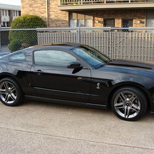 mustang 009