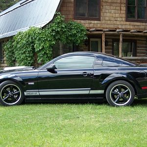 07 Shelby GT