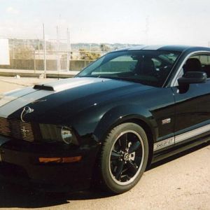 2007 Shelby