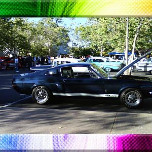 Here is one of my pictures 1967 Cobra Jet GT 500