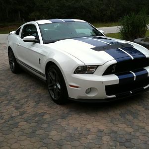 2010 shelby purchased 9/12/2009, awesome ride