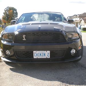 2010 Grill