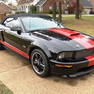 Glenn's Shelby GT Barrett Jackson Pictures 11242009 016