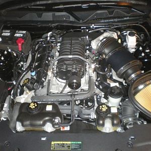 Engine Bay