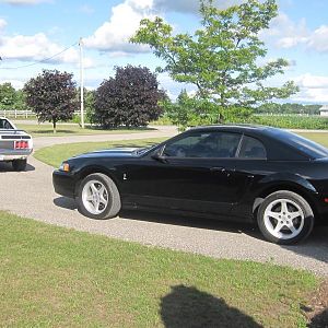 '99 SVT Cobra