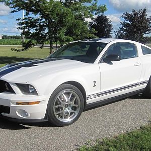 '08 Shelby GT 500