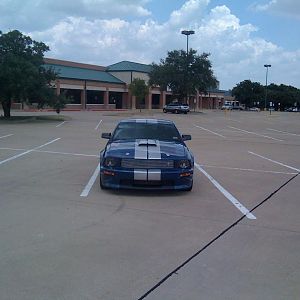 2008 Shelby GT 035