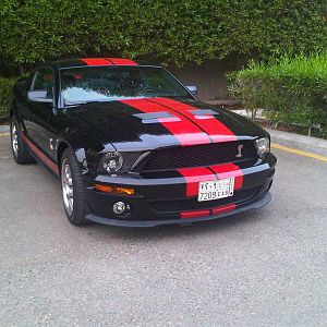 Shelby At Salhia, before the front & backbrake cooling ducts and hood pins installation