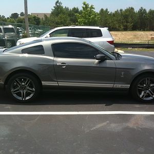 2010 GT500 "Lady Jazz"