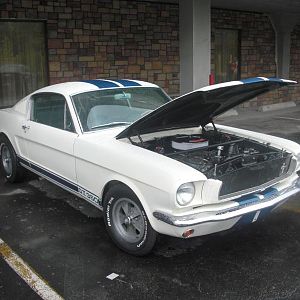 65 Shelby GT 350 Clone