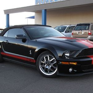 My Shelby