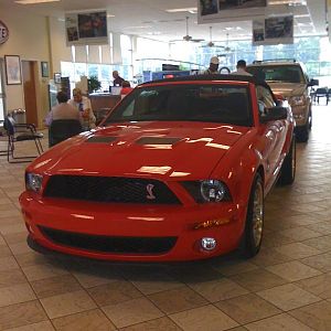 my 09 GT500