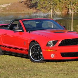 Mustang club photo shoot