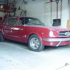 My first car, bought in 1978 in Alabama.  Sorry its not a Shelby.  Was in an engine fire in 1996.  I was in college--then med school, then residency..