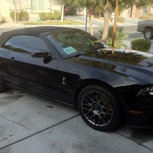 2012 Shelby GT500